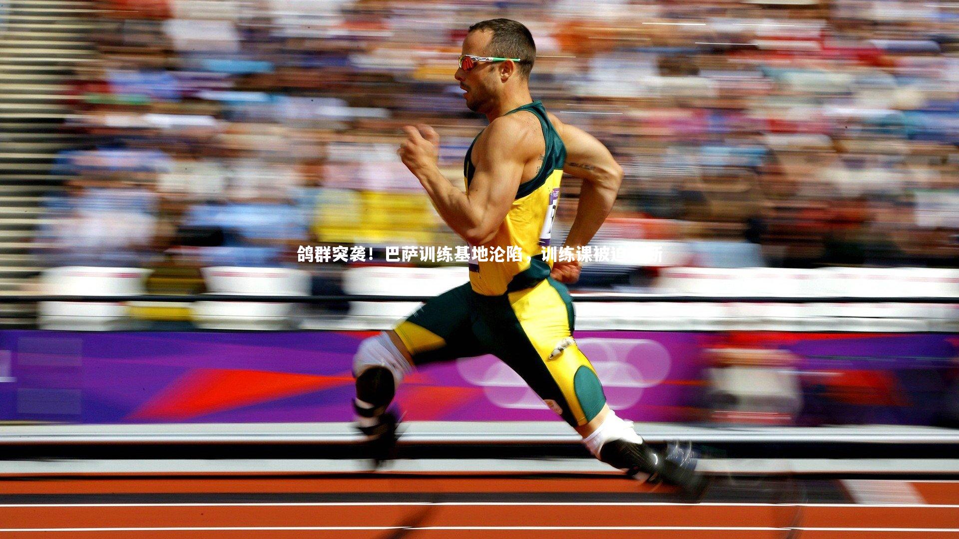 鸽群突袭！巴萨训练基地沦陷，训练课被迫中断